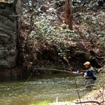 Fly Fishing at Gunpowder Falls